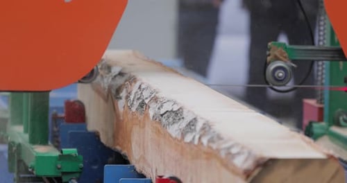 Work of the sawmill in close-up. Process of machining logs in equipment sawmill machine saw saws the