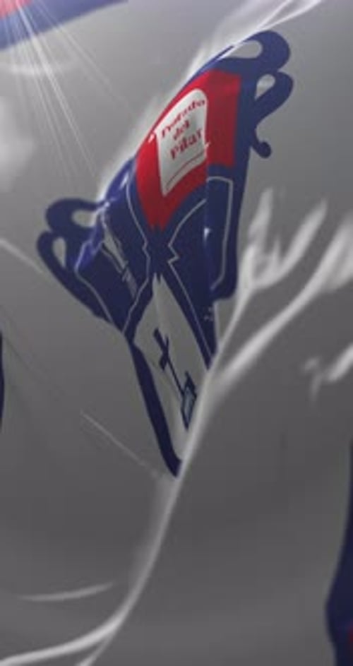 El Pilar Partido Flag