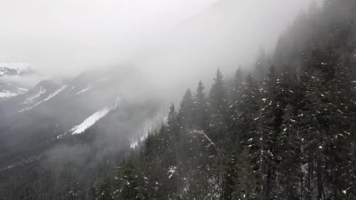 Snowy Mountain Landscape with Evergreen Forest in Winter