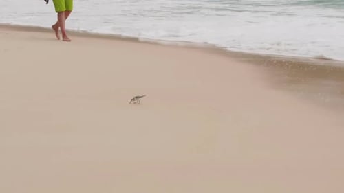 Barefooted Man Legs Walking on Sandy Ocean Beach with Long Waves on Resort