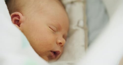 Newborn Infant Sleeping Peacefully in a Cozy Blanket