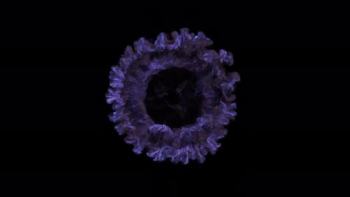Shockwave 82
