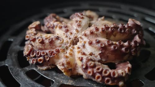 Cinematic close up tracking shot of an octopus being cooked over an open flame grill barbeque, captu