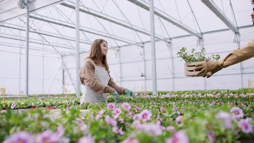 Group of People Working in Garden Centre
