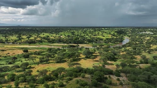 Aerial View of Tarangire National Park During Approaching Storm Clouds