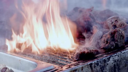 Thick Whitish Steam Covering Delicious Organic Food Turning By the Cook
