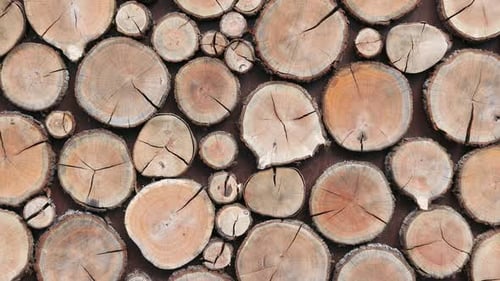 Wood Log Wall Texture Zoom Out Background