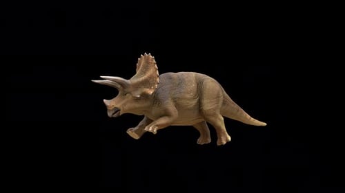 Triceratops Dinosaur Run Loop