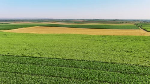 Aerial View of Agriculture Fields