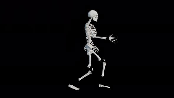 Human Skeleton Walk Cycle, Backgrounds Motion Graphics ft. fire & flash ...