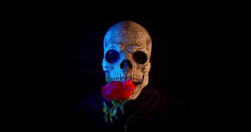 Person in Skull Mask Holding Red Rose
