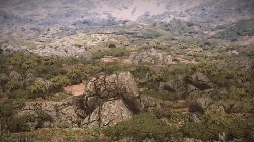 Rocky Terrain with Scattered Shrubs Under a Clear Sky in a Natural Landscape