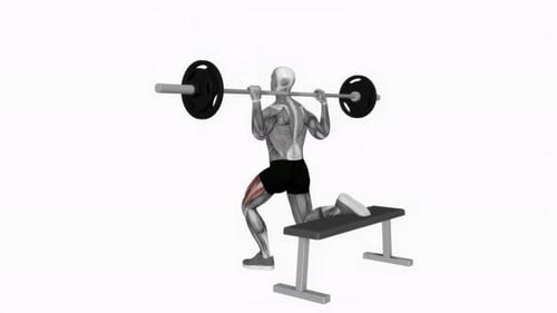 Barbell Bulgarian Split Squat fitness exercise workout animation video male muscle highlight 4K 60 f