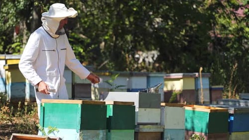Beekeeper in white protective suit near beehives.