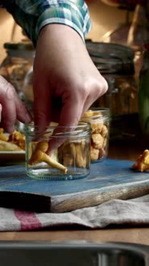 Vertical View Of Mushrooms