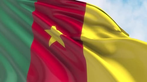 Cameroon Flag Waving Seamless Loop Animation