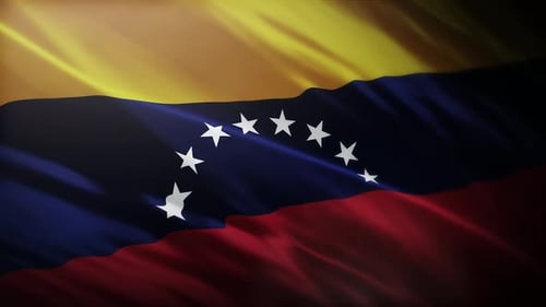 Realistic Waving Flag of Venezuela Animated Background