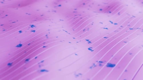 Abstract Pink Fluid Background with Dynamic Blue Particles