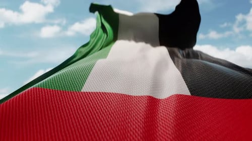 Realistic Waving National Flag Animation