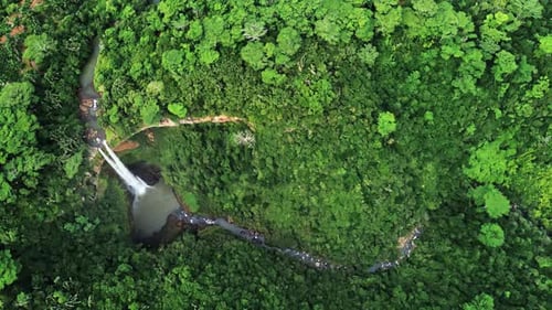 Aerial drone view of a small waterfall flowing through dense tropical rainforest, surrounded by lush