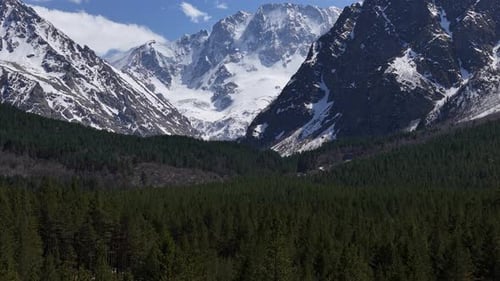 Aerial View of Snowcovered Caucasus Mountains and Dense Green Forest