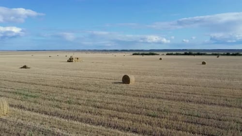 Wunderschöner Blick auf endlose landwirtschaftliche Felder an einem bewölkten Herbsttag