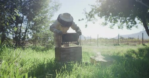Bees can teach us so much