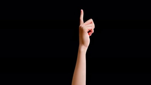 Diverse Hand Gestures Animation Pack