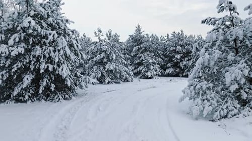 Aerial view of country road and snow-covered forest in winter.