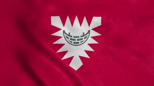 Waving Flag with Stylized Corporate Emblem Animation