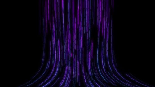 Abstract Colorful Flowing Purple And Blue Light Streaks on a Black Background Loop