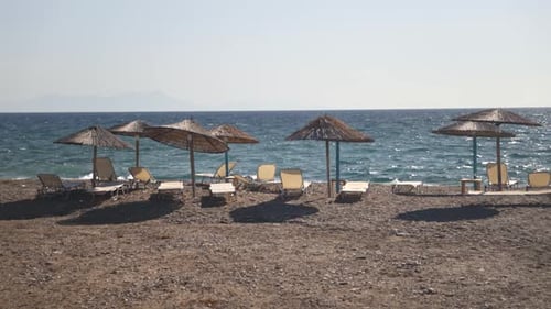 A serene beach with straw umbrellas lined up along the shore.