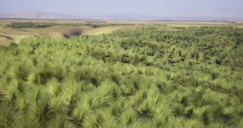 Lush Green Landscape with Rolling Hills and Abundant Grasslands During Daylight