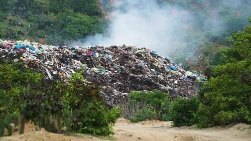 Close-up of heap of smoking rubbish in an open-air dump in the middle of a forest. Static view . Vie