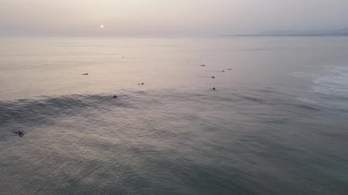 Aerial view of surfers on the ocean, Portugal.