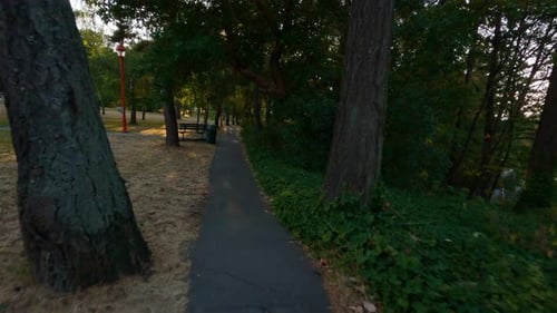 Trail in a Park with Vibrant Green Trees