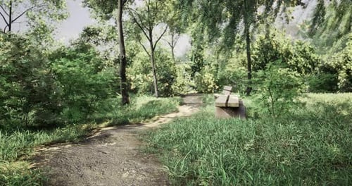 Quiet Pathway in a Lush Green Park Inviting Peaceful Strolls Under Sunlight