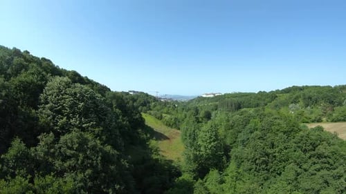 Aerial Green Forest