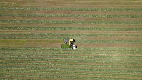 Maschinelle Landwirtschaft