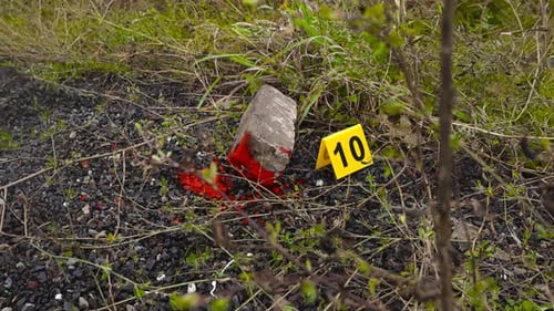 Crime Scene Evidence Marker and Concrete Block Outdoors