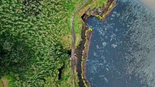 Drone Pacific Tropical Island Landscape Beautiful Green Summer Coastline View