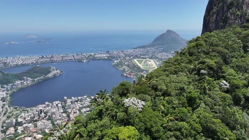 Forêt atlantique au centre-ville de Rio de Janeiro au Brésil. Forêt de Tijuca
