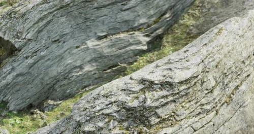 Animated Slow Pan Over Textured Rock Surface
