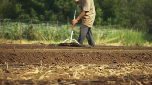 Low angle shot of a farmer using a rake to prepare the land for seeding, cultivation concept