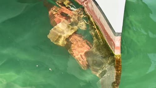 view of boat propeller in the sea