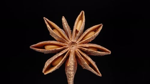 Dried anise star, rotates on a black background, close-up. Dolly slider extreme close-up.