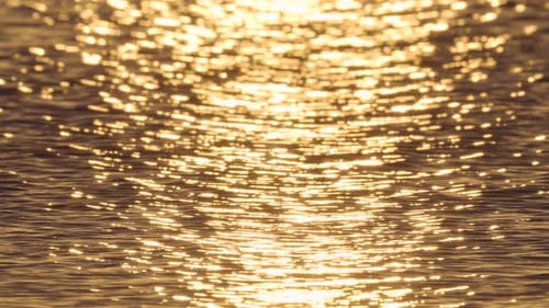 Golden Sunlight Sparkling on Water's Surface