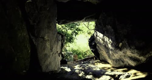 Exploring a Serene Cave with a View of Lush Greenery and Sunlight
