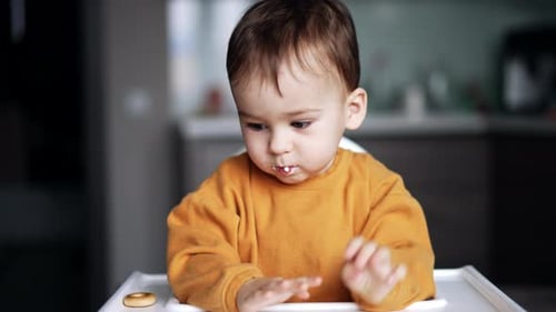 Adorable Child Playing with Cookie in High Chair
