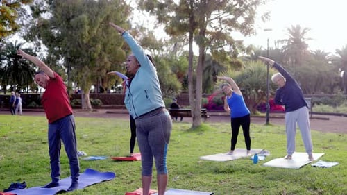 Sport senior people exercising during yoga workout class at park city. Fitness joyful Elderly lifest